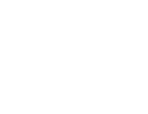 Get your guide logo